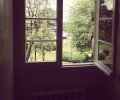 Pogled na zelenje skozi okno