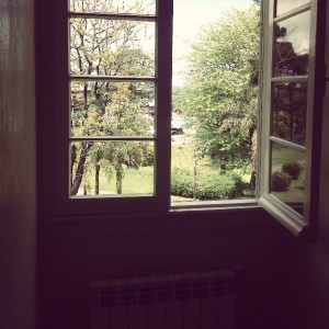 Pogled na zelenje skozi okno