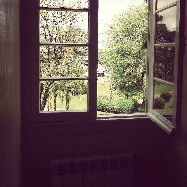 Okna odpirajo pogled v svet